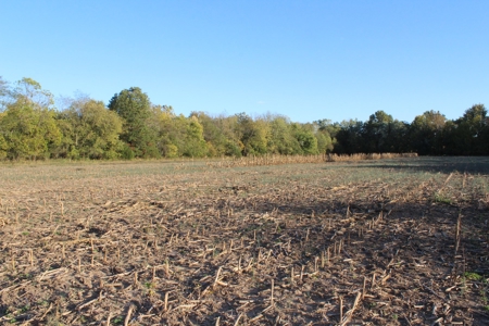 70  Acres in Webster County Missouri - image 10