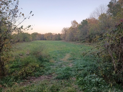 70  Acres in Webster County Missouri - image 8