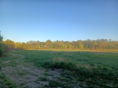 70  Acres in Webster County Missouri - image 6