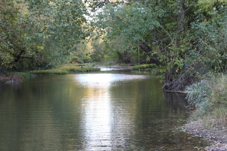 70  Acres in Webster County Missouri - image 9