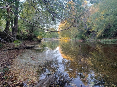 70  Acres in Webster County Missouri - image 5
