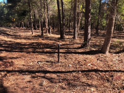 Outstanding Commercial Lot with New Shop on HWY 59 S - image 8