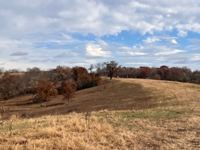 280 Acres Gentry County Missouri For Sale - image 4