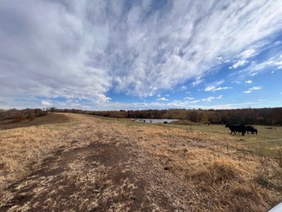 280 Acres Gentry County Missouri For Sale - image 3