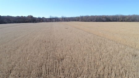 3.1% ROI, 110+/- Acres,Strong Producing Grand River Farmland - image 4