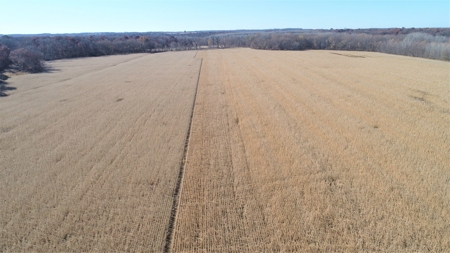 3.1% ROI, 110+/- Acres,Strong Producing Grand River Farmland - image 3