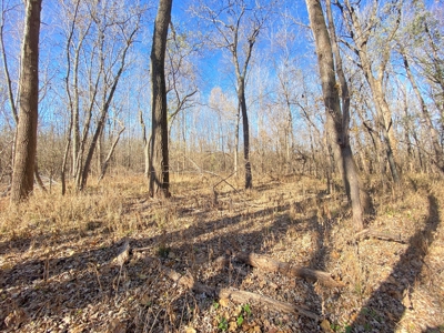 3.1% ROI, 110+/- Acres,Strong Producing Grand River Farmland - image 18