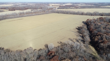 3.1% ROI, 110+/- Acres,Strong Producing Grand River Farmland - image 10