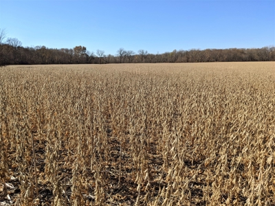 3.1% ROI, 110+/- Acres,Strong Producing Grand River Farmland - image 13
