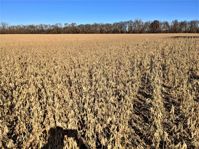 3.1% ROI, 110+/- Acres,Strong Producing Grand River Farmland - image 11