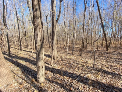 3.1% ROI, 110+/- Acres,Strong Producing Grand River Farmland - image 17