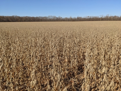 3.1% ROI, 110+/- Acres,Strong Producing Grand River Farmland - image 12