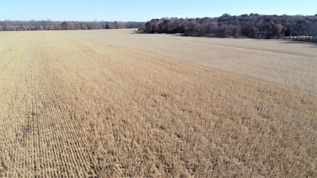 3.1% ROI, 110+/- Acres,Strong Producing Grand River Farmland - image 2
