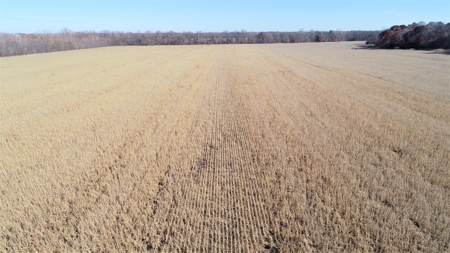 3.1% ROI, 110+/- Acres,Strong Producing Grand River Farmland - image 1