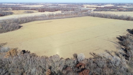 3.1% ROI, 110+/- Acres,Strong Producing Grand River Farmland - image 6