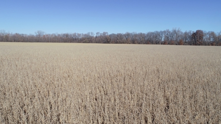 3.1% ROI, 110+/- Acres,Strong Producing Grand River Farmland - image 5