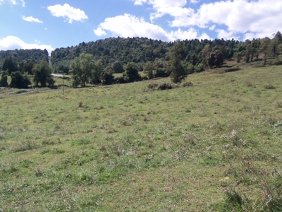 Land for Sale in Floyd VA! - image 1