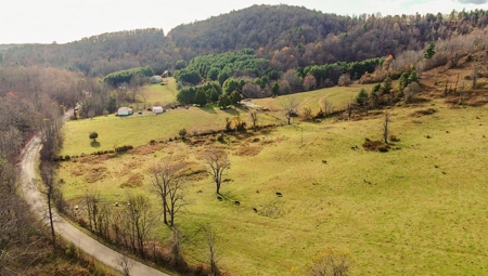 Land for Sale in Floyd VA! - image 4