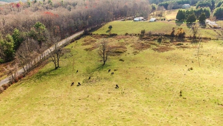 Land for Sale in Floyd VA! - image 5