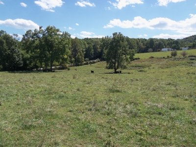 Land for Sale in Floyd VA! - image 2