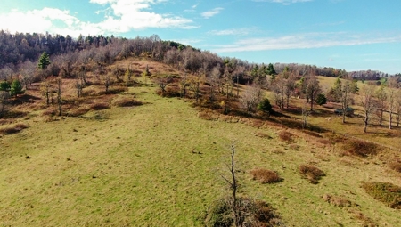 Farmland for Sale in Floyd VA! - image 8
