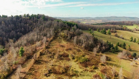 Farmland for Sale in Floyd VA! - image 11