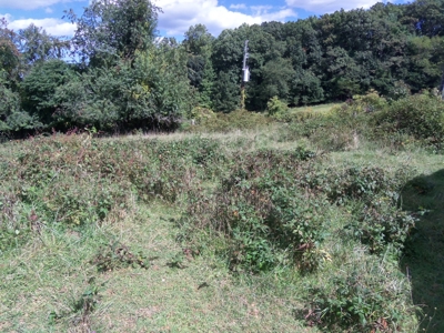 Farmland for Sale in Floyd VA! - image 5