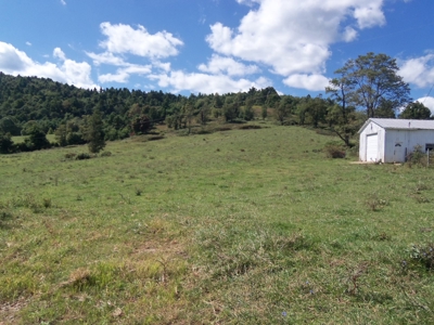 Farmland for Sale in Floyd VA! - image 1