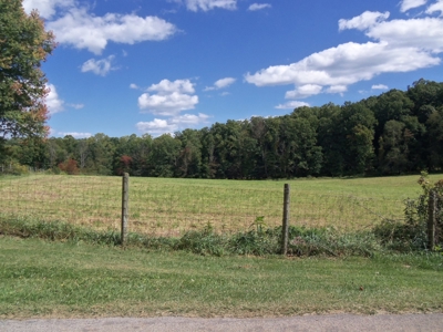 Country Home and Land for Sale in Floyd VA! - image 11