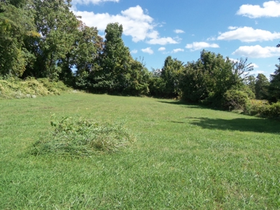 Country Home and Land for Sale in Floyd VA! - image 16