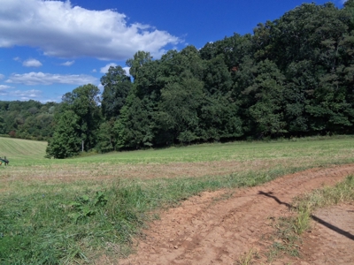 Country Home and Land for Sale in Floyd VA! - image 13