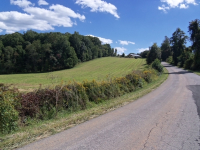 Country Home and Land for Sale in Floyd VA! - image 12
