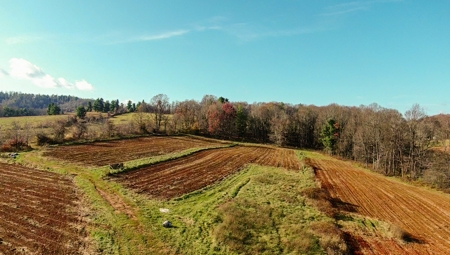 Open Pasture Land for Sale in Floyd VA! - image 15