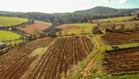 Open Pasture Land for Sale in Floyd VA! - image 17