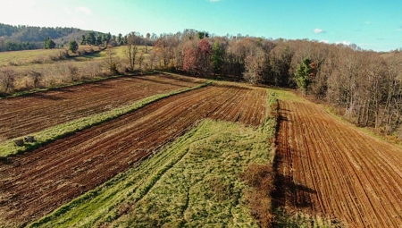 Open Pasture Land for Sale in Floyd VA! - image 10