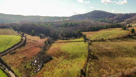 Open Pasture Land for Sale in Floyd VA! - image 11