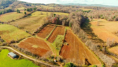 Open Pasture Land for Sale in Floyd VA! - image 14