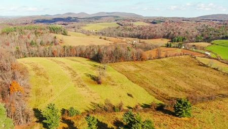 Open Pasture Land for Sale in Floyd VA! - image 12