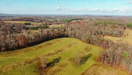 Open Pasture Land for Sale in Floyd VA! - image 16