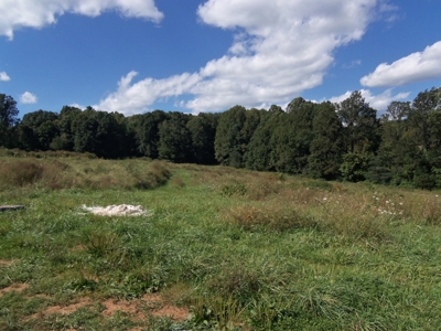 Open Pasture Land for Sale in Floyd VA! - image 3