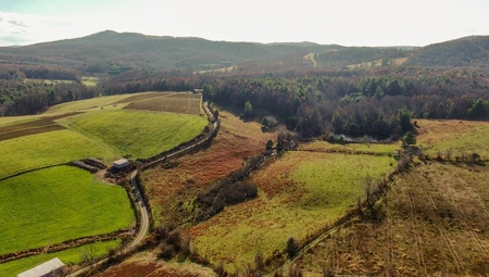 Open Pasture Land for Sale in Floyd VA! - image 13