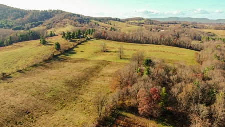 Open Pasture Land for Sale in Floyd VA! - image 9