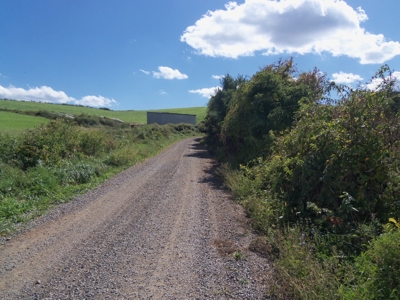 Open Pasture Land for Sale in Floyd VA! - image 2