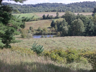 Floyd VA Farmland for Sale! - image 1