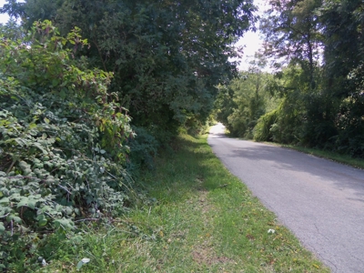 Floyd VA Farmland for Sale! - image 12