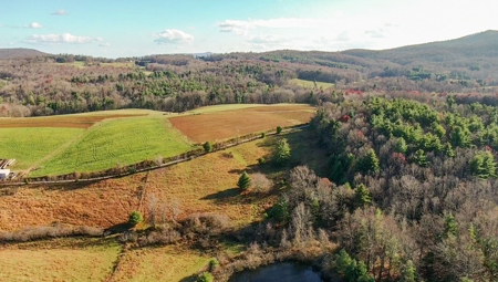 Floyd VA Farmland for Sale! - image 15