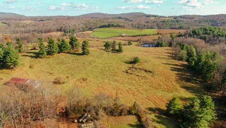 Floyd VA Farmland for Sale! - image 17