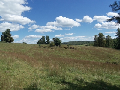 Floyd VA Farmland for Sale! - image 4
