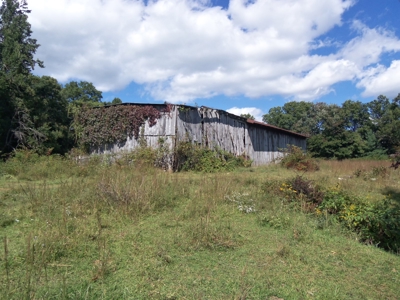 Floyd VA Farmland for Sale! - image 5