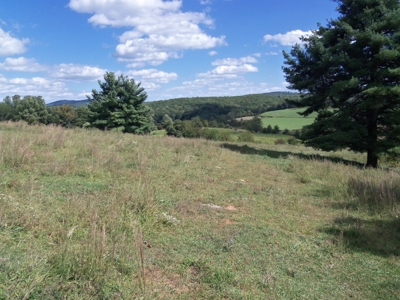 Floyd VA Farmland for Sale! - image 7